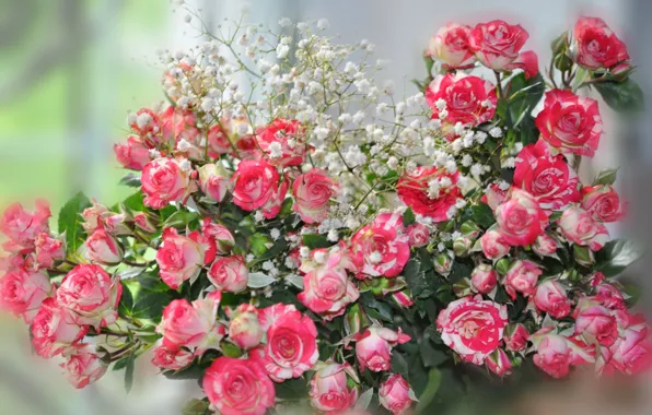 Flowers, roses, bouquet, blur, motley