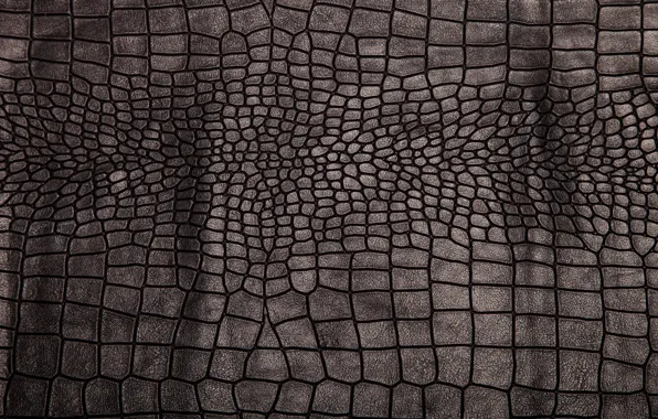 Leather, black, texture, background, leather, crocodile skin