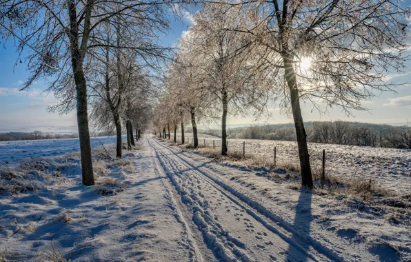 Winter, the sky, the sun, rays, snow, nature, Park, shadow