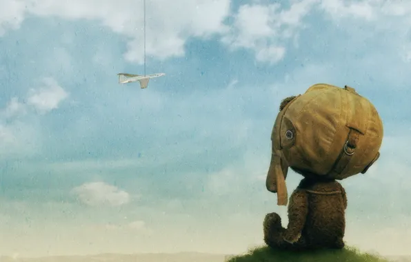 Picture clouds, the plane, figure, bear