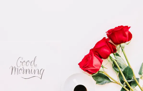 Roses, bouquet, red, red, cup, romantic, coffee, good morning