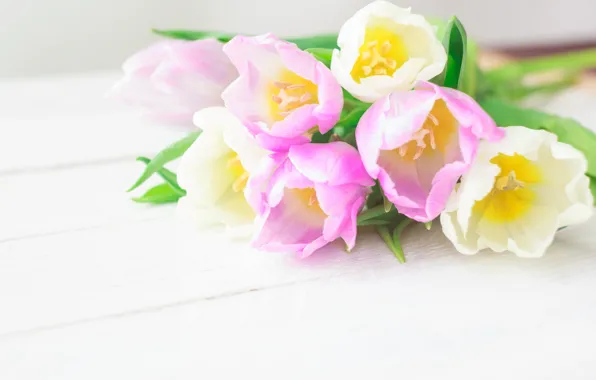 Picture flowers, bouquet, tulips, love, pink, white, fresh, pink