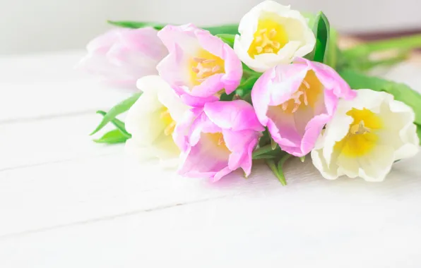 Flowers, bouquet, tulips, love, pink, white, fresh, pink