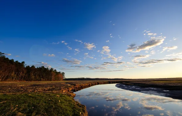 Field, forest, the sky, grass, water, clouds, trees, landscape