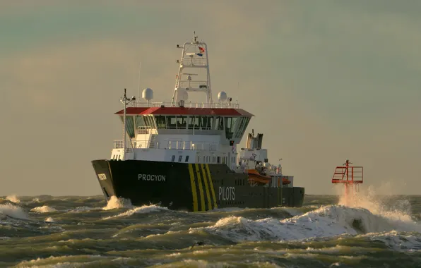 Sea, wave, tug, lifeguard