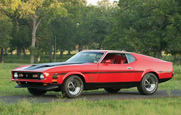 Trees, red, Mustang, Ford, Ford, 1971, Mustang, the front