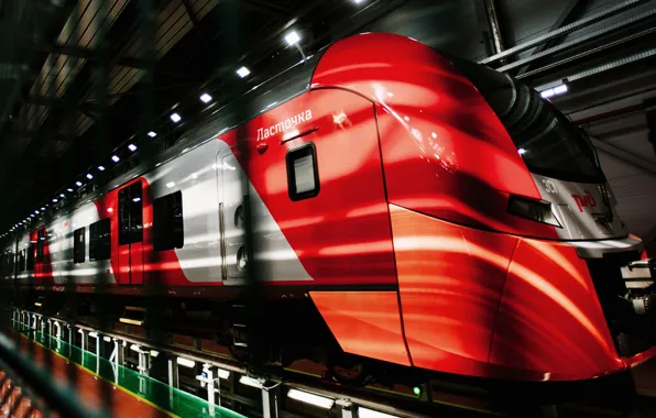 Train, depot, swallow