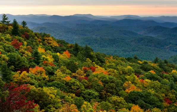 Picture forest, the sky, trees, sunset, orange, hills, view, height