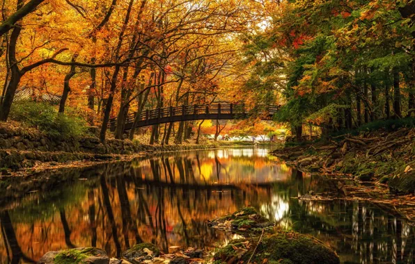 Picture autumn, trees, bridge, Park, river