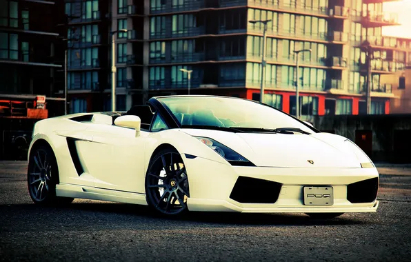 Picture supercar, lamborghini gallardo, spyder, Lamborghini