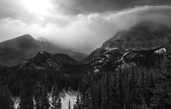 Forest, mountains, Black and white