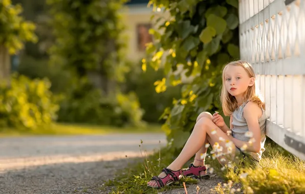 Road, summer, the fence, girl