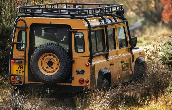 Dirt, SUV, the trunk, Land Rover, Defender, V8, spare wheel, 5.0 L.