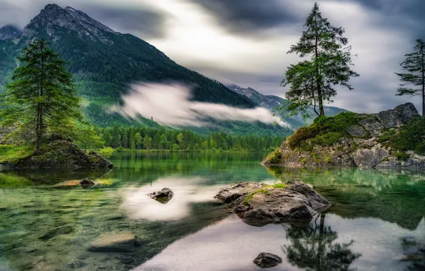 Forest, summer, the sky, clouds, trees, landscape, mountains, clouds