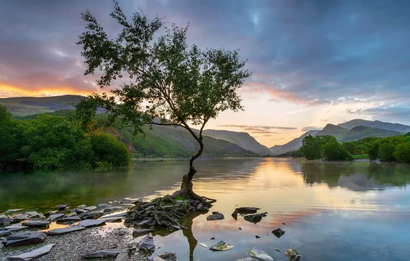Lake, Horizon, Sunrise, the beauty of nature, Snowdonia National Park, Sunrise, Snowdonia national Park, Picturesque …