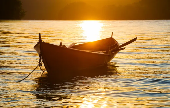 Water, the sun, sunset, nature, glare, boat