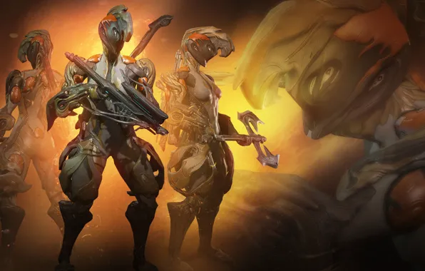 Weapons, the game, warrior, armor, axe, crossbow, Warframe
