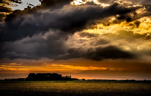 Field, the sky, sunset