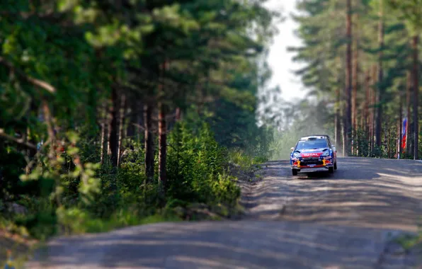 Trees, Forest, Speed, Race, Citroen, DS3, WRC, Rally