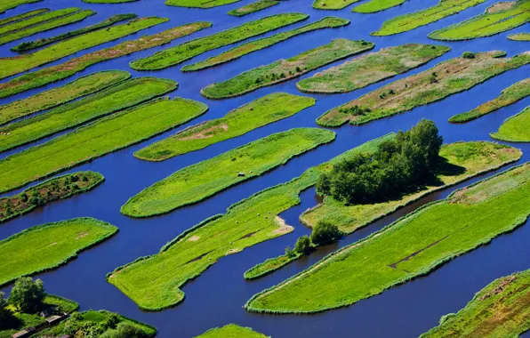 Grass, water, trees, island, Netherlands, Jisp