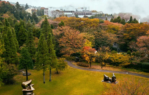 Grass, trees, nature, Park, photo, Japan, Open Air Museum, Hakone