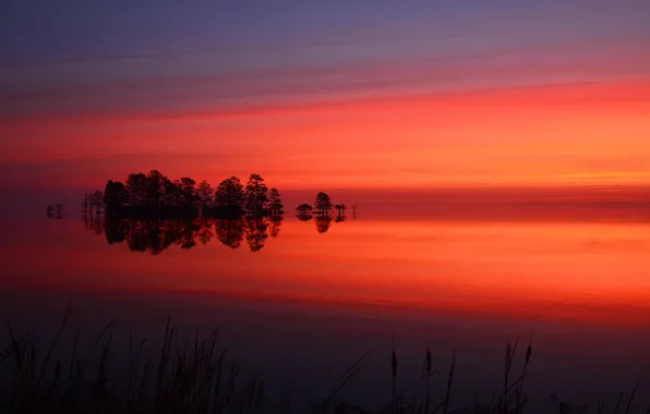 The sky, clouds, trees, sunset, lake, island, glow