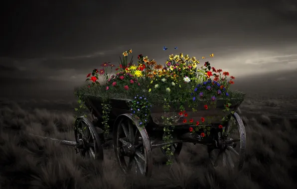 Flowers, style, background, cart