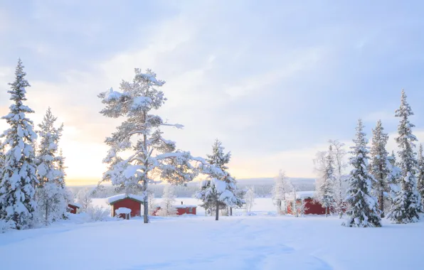 Picture winter, snow, trees, landscape, winter, house, hut, landscape