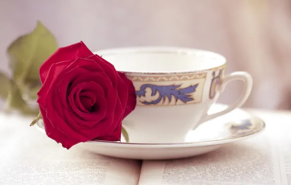 Flowers, roses, mug, Cup, book, a couple of tea