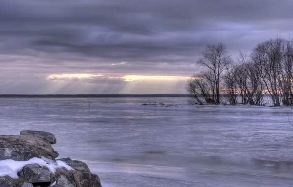 Picture ice, snow, trees, sunset, lake, Winter, the evening