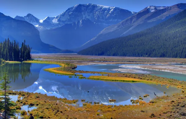 Picture forest, the sky, trees, mountains, lake, reflection, river, spring