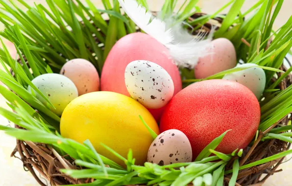 Grass, pen, holiday, eggs, spring, Easter, socket, Easter
