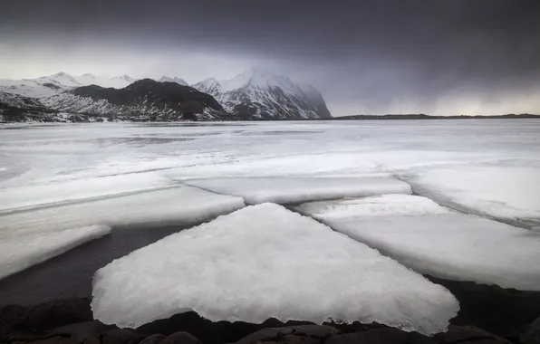 Winter, sea, ice