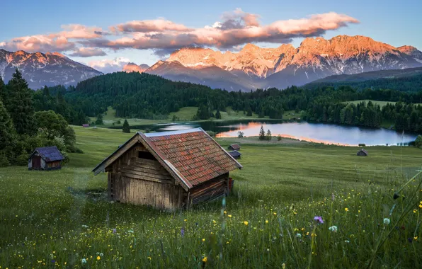 Field, forest, summer, the sky, grass, clouds, flowers, mountains