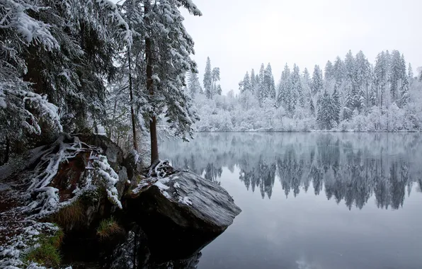 Picture winter, forest, snow, trees, nature, lake, reflection