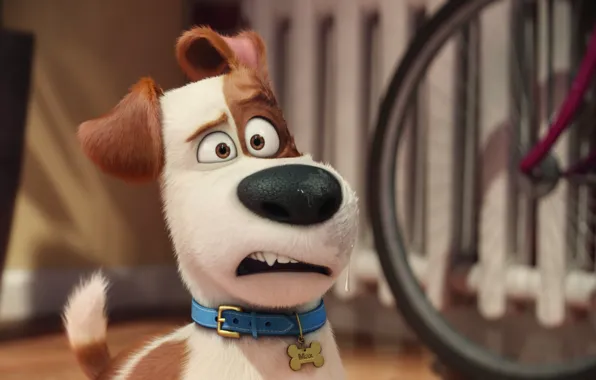 Picture Dog, Cartoon, Max, The Secret Life of Pets, Terrier, The Secret Life Of Pets