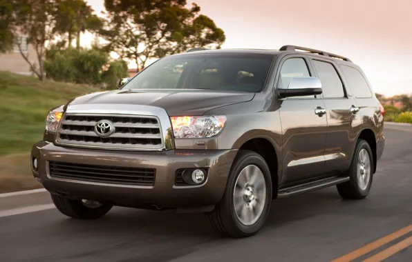 SUV, 2012, toyota, Suite, sequoia
