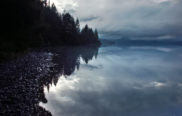 Picture forest, nature, lake, the evening