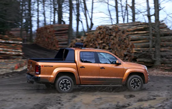 Picture squirt, speed, Volkswagen, dirt, pickup, logs, Amarok, Double Cab