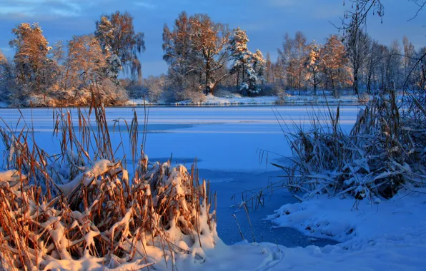 Winter, River, Germany, Snow, Laupheim