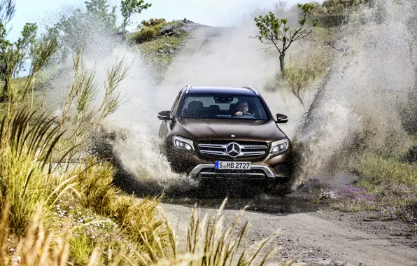 Picture Mercedes-Benz, Mercedes, 4MATIC, 2015, X205, GLC 350