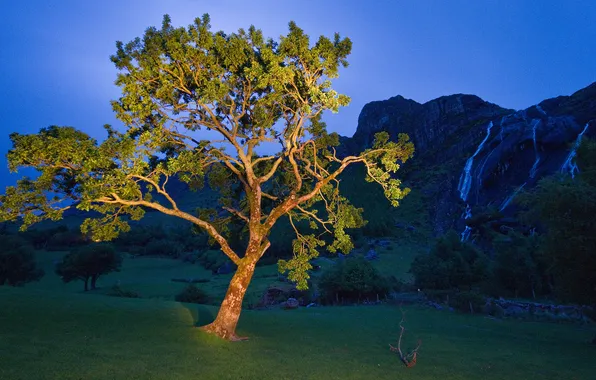 The sky, grass, light, trees, mountains, night