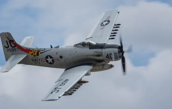 Picture flight, attack, Douglas, Skyraider, Skyraider