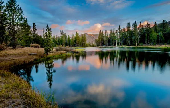 Picture forest, nature, mountain lake