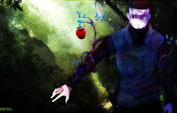 Tree, Apple, branch, Naruto, ninja, sensei, chakra, Naruto Shippuden