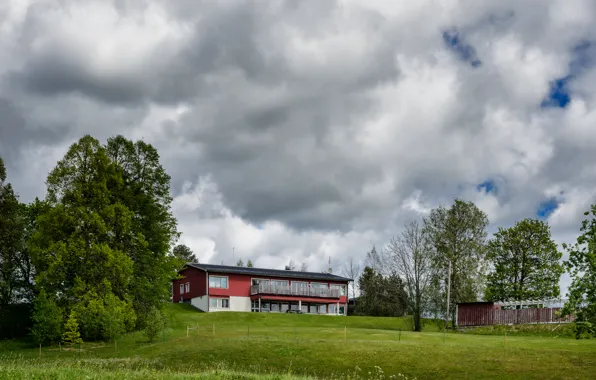 Greens, field, summer, the sky, clouds, trees, nature, house