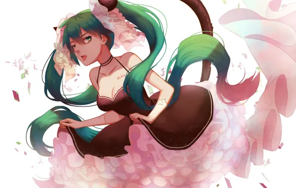 Tail, neckline, vocaloid, Hatsune Miku, long hair, ruffles, neko girl, the fluffy skirt