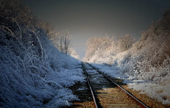 Landscape, nature, morning, railroad