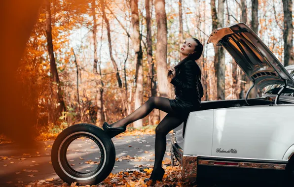 SHOES, ROAD, FOREST, STOCKINGS, MACHINE, AUTUMN, TIRE, trunk