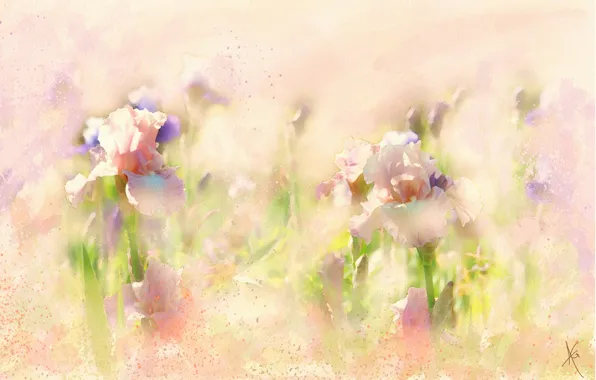Flowers, figure, graphics, treatment, picture, art, painting, irises